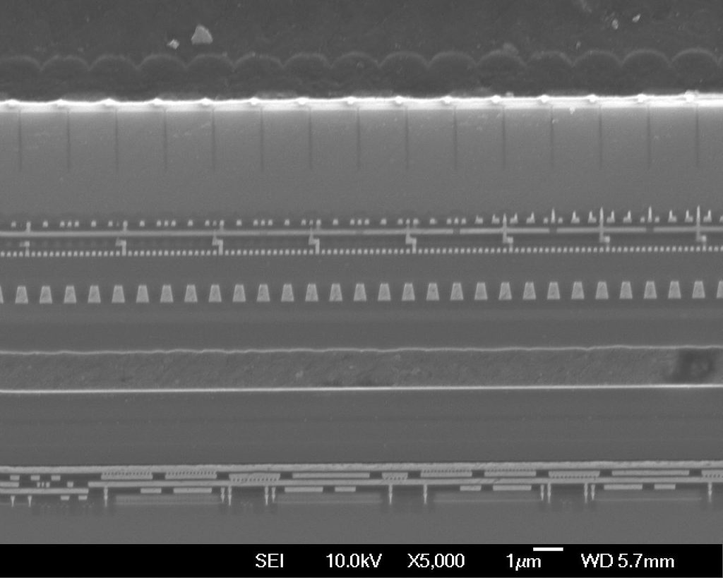 Sample preparation - Serma Microtech